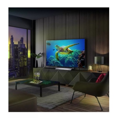 LG 55 Inch C3 OLED EVO 4K Smart TV OLED55C34LA