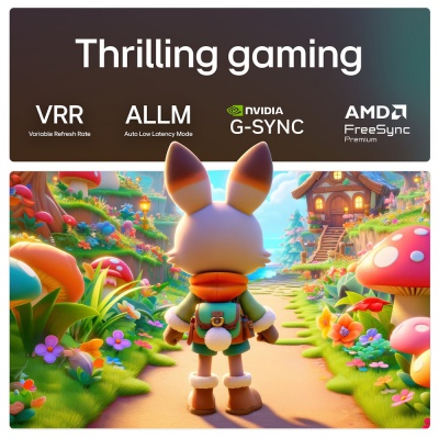 LG 48 Inch OLED AI B5 4K Smart TV OLED48B56LA