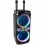Ibiza Sound Bluetooth Karaoke Speaker 144034