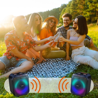 Denver Portable Bluetooth Party Speaker BPS250